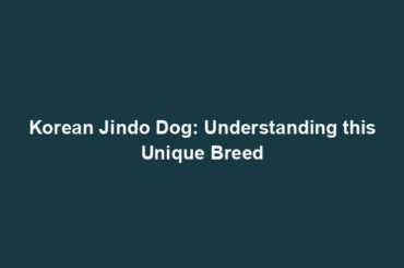 Korean Jindo Dog: Understanding this Unique Breed