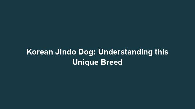Korean Jindo Dog: Understanding this Unique Breed