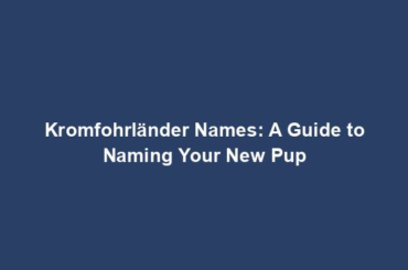 Kromfohrländer Names: A Guide to Naming Your New Pup