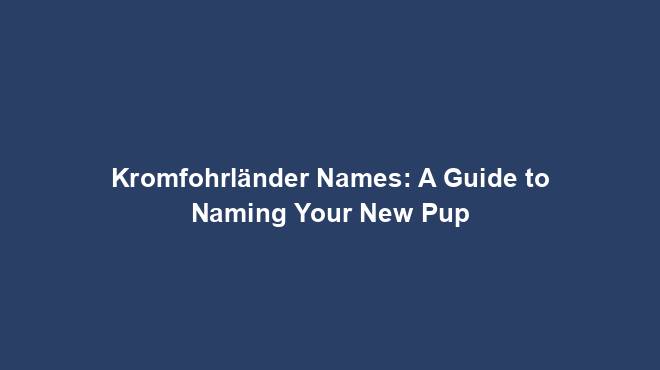Kromfohrländer Names: A Guide to Naming Your New Pup