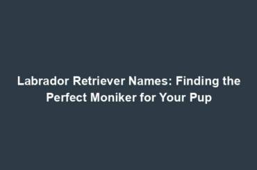 Labrador Retriever Names: Finding the Perfect Moniker for Your Pup