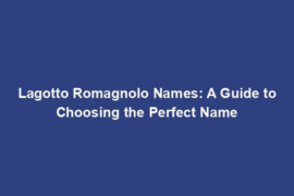 Lagotto Romagnolo Names: A Guide to Choosing the Perfect Name
