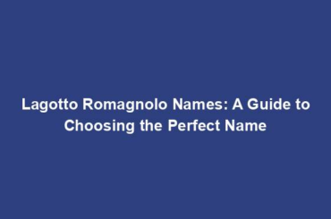 Lagotto Romagnolo Names: A Guide to Choosing the Perfect Name