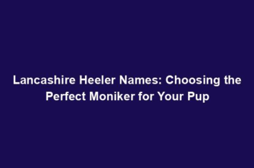 Lancashire Heeler Names: Choosing the Perfect Moniker for Your Pup