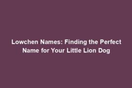 Lowchen Names: Finding the Perfect Name for Your Little Lion Dog