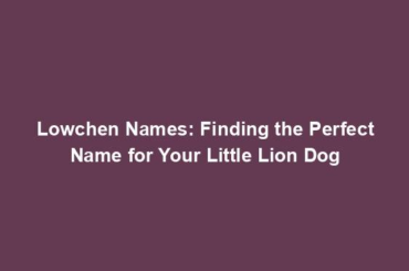 Lowchen Names: Finding the Perfect Name for Your Little Lion Dog