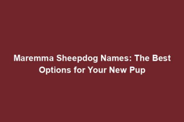 Maremma Sheepdog Names: The Best Options for Your New Pup