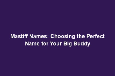 Mastiff Names: Choosing the Perfect Name for Your Big Buddy