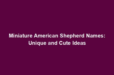 Miniature American Shepherd Names: Unique and Cute Ideas