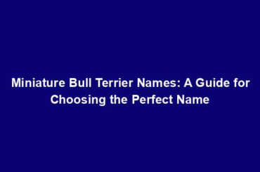 Miniature Bull Terrier Names: A Guide for Choosing the Perfect Name