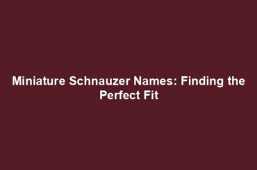 Miniature Schnauzer Names: Finding the Perfect Fit