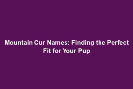 Mountain Cur Names: Finding the Perfect Fit for Your Pup