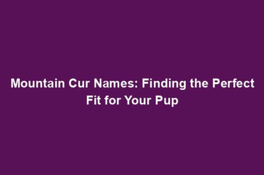 Mountain Cur Names: Finding the Perfect Fit for Your Pup