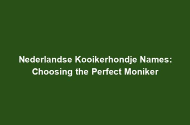 Nederlandse Kooikerhondje Names: Choosing the Perfect Moniker