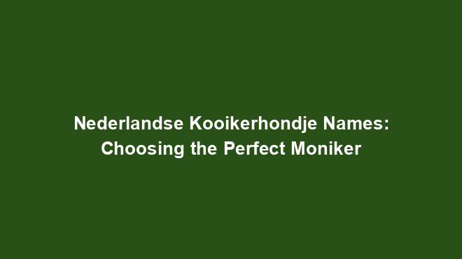 Nederlandse Kooikerhondje Names: Choosing the Perfect Moniker