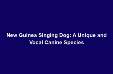 New Guinea Singing Dog: A Unique and Vocal Canine Species