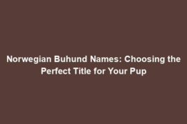 Norwegian Buhund Names: Choosing the Perfect Title for Your Pup