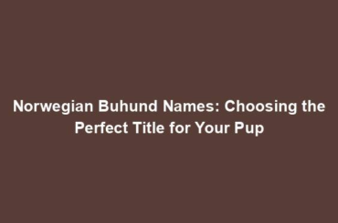 Norwegian Buhund Names: Choosing the Perfect Title for Your Pup