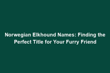 Norwegian Elkhound Names: Finding the Perfect Title for Your Furry Friend