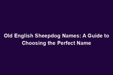 Old English Sheepdog Names: A Guide to Choosing the Perfect Name