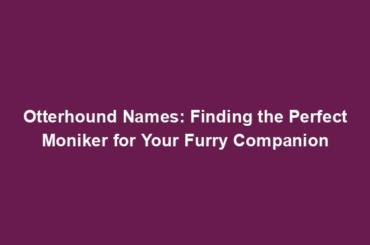 Otterhound Names: Finding the Perfect Moniker for Your Furry Companion