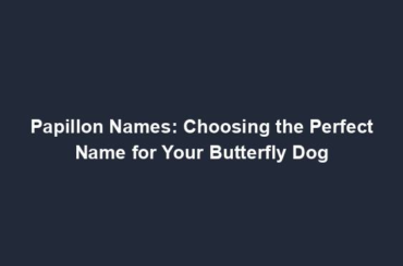 Papillon Names: Choosing the Perfect Name for Your Butterfly Dog