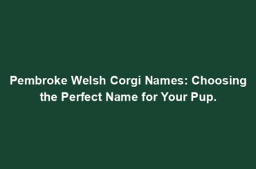 Pembroke Welsh Corgi Names: Choosing the Perfect Name for Your Pup.