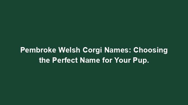 Pembroke Welsh Corgi Names: Choosing the Perfect Name for Your Pup.