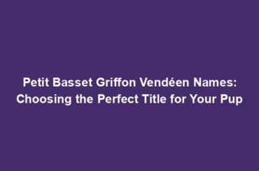 Petit Basset Griffon Vendéen Names: Choosing the Perfect Title for Your Pup