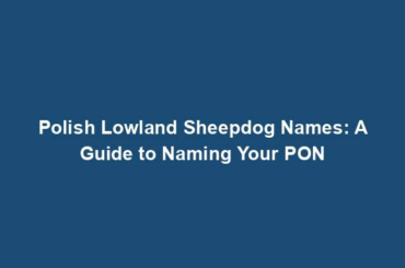 Polish Lowland Sheepdog Names: A Guide to Naming Your PON