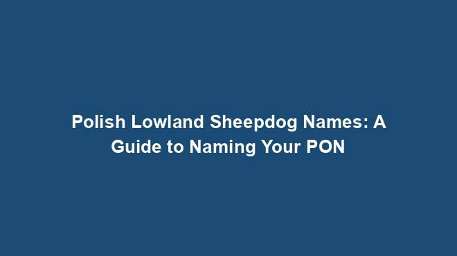 Polish Lowland Sheepdog Names: A Guide to Naming Your PON