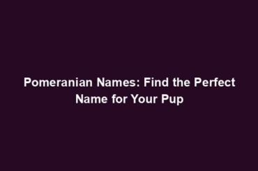 Pomeranian Names: Find the Perfect Name for Your Pup