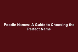 Poodle Names: A Guide to Choosing the Perfect Name