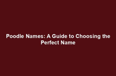 Poodle Names: A Guide to Choosing the Perfect Name