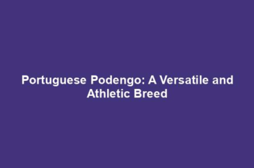 Portuguese Podengo: A Versatile and Athletic Breed