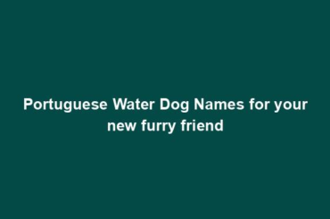 Portuguese Water Dog Names for your new furry friend