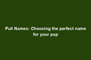 Puli Names: Choosing the perfect name for your pup