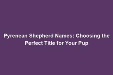 Pyrenean Shepherd Names: Choosing the Perfect Title for Your Pup