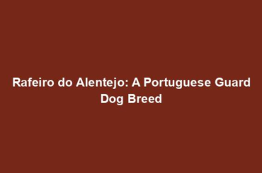 Rafeiro do Alentejo: A Portuguese Guard Dog Breed