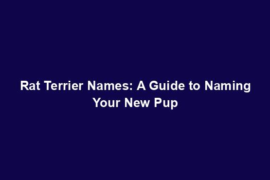 Rat Terrier Names: A Guide to Naming Your New Pup