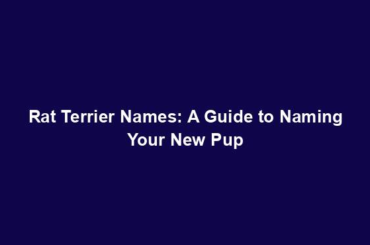 Rat Terrier Names: A Guide to Naming Your New Pup