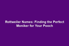 Rottweiler Names: Finding the Perfect Moniker for Your Pooch