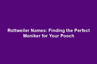 Rottweiler Names: Finding the Perfect Moniker for Your Pooch