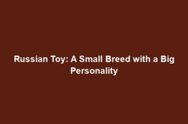 Russian Toy: A Small Breed with a Big Personality