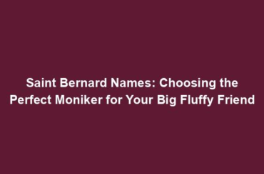 Saint Bernard Names: Choosing the Perfect Moniker for Your Big Fluffy Friend