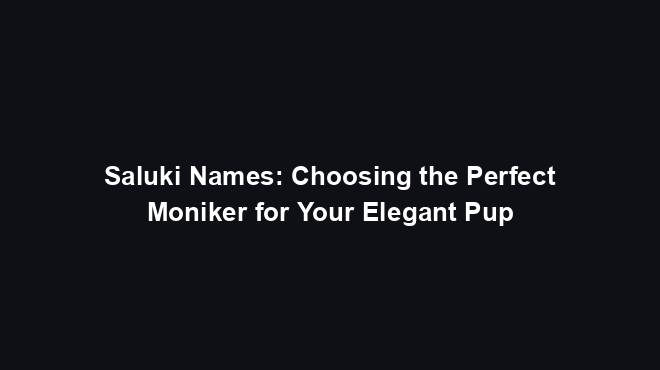 Saluki Names: Choosing the Perfect Moniker for Your Elegant Pup
