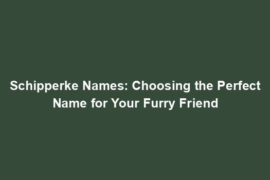 Schipperke Names: Choosing the Perfect Name for Your Furry Friend