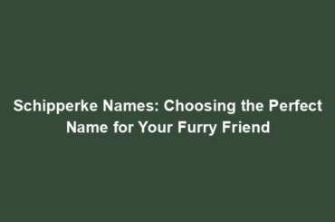 Schipperke Names: Choosing the Perfect Name for Your Furry Friend