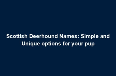 Scottish Deerhound Names: Simple and Unique options for your pup