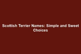 Scottish Terrier Names: Simple and Sweet Choices